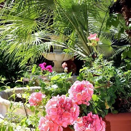 Elbaloves Appartaments Capoliveri (Isola d'Elba)