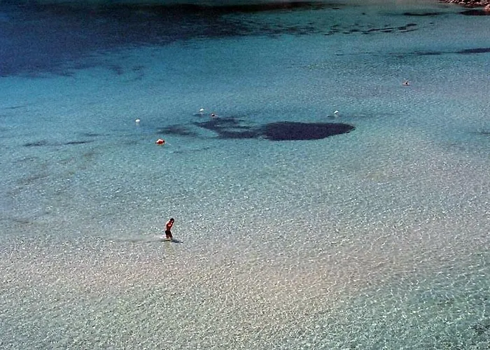 Elbaloves Appartaments Appartement